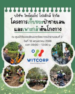 เก็บขยะป่าชายเลนและเพาะกล้าต้นโกงกาง