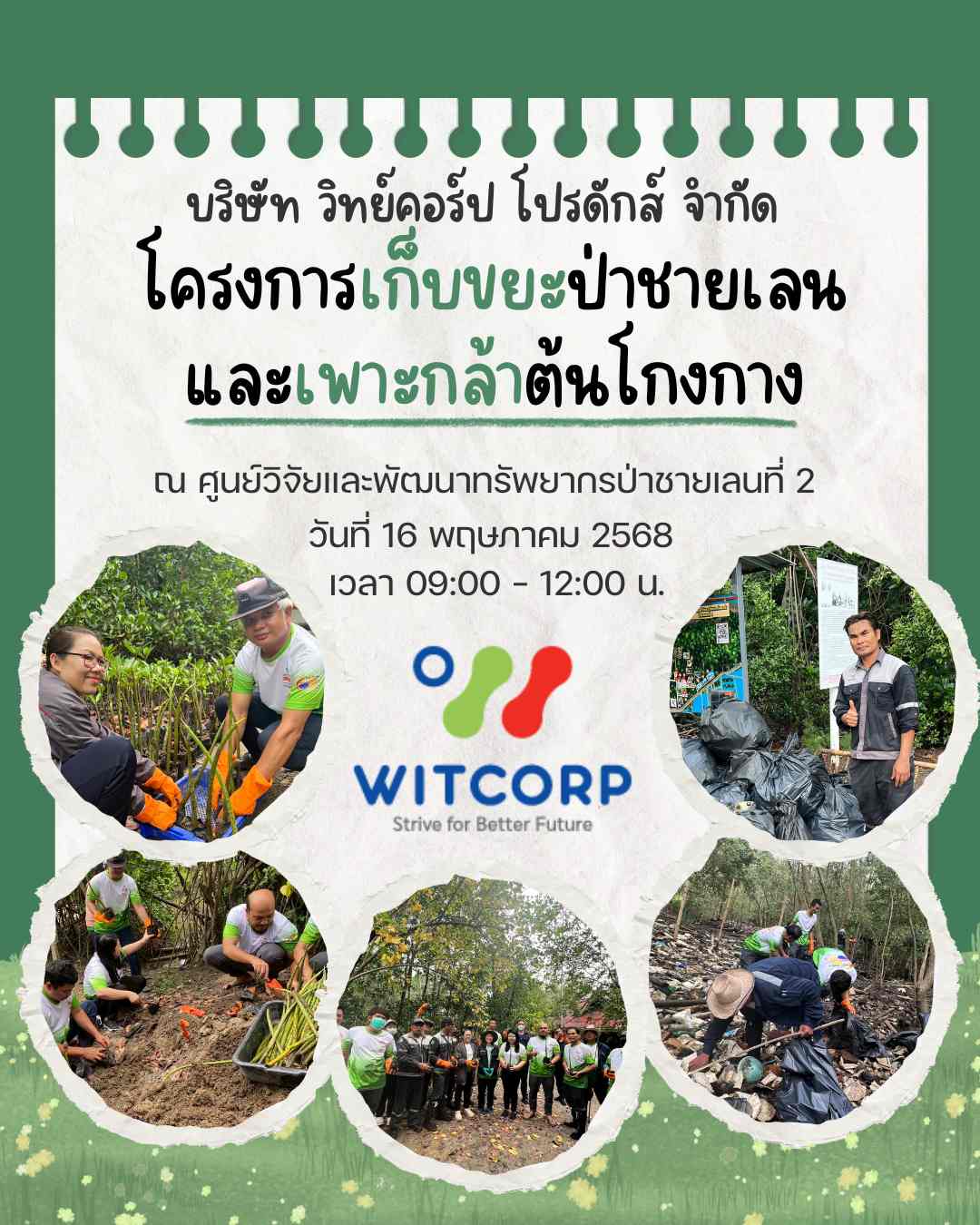 เก็บขยะป่าชายเลนและเพาะกล้าต้นโกงกาง