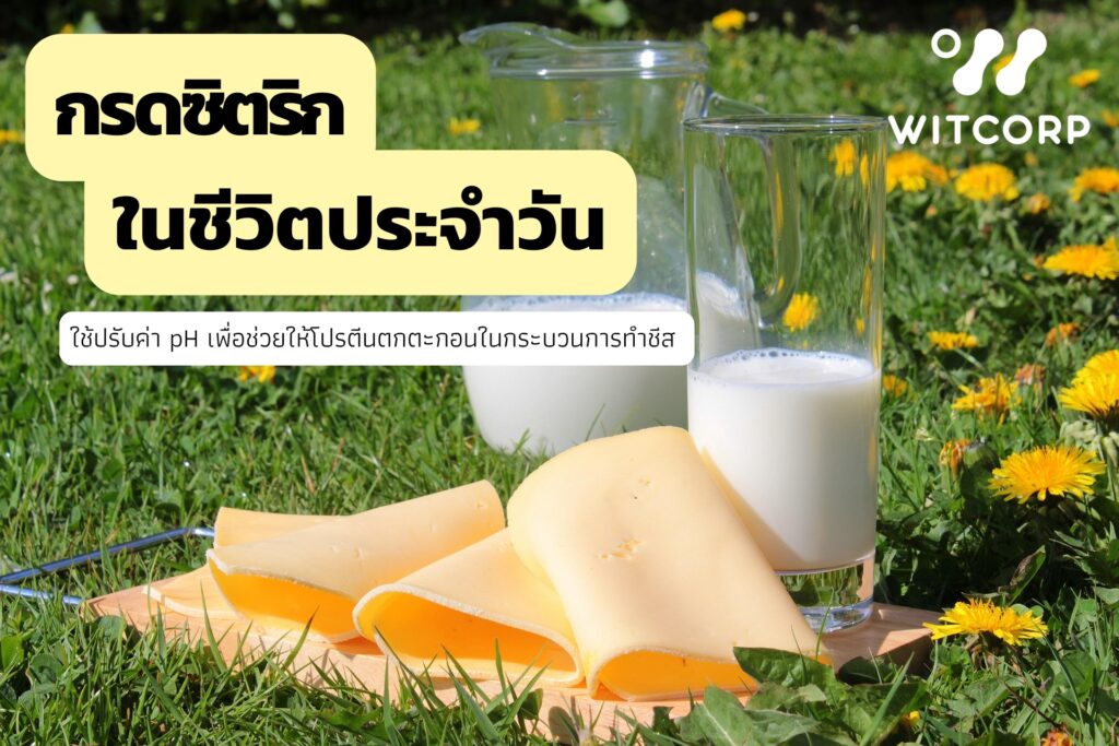 กรดซิตริกในชีวิตประจำวัน ใช้ปรับค่า pH เพื่อช่วยให้โปรตีนตกตะกอนในกระบวนการทำชีส