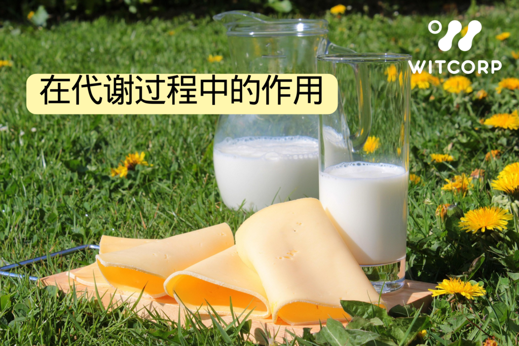 在食品与饮料行业中的应用 Applications in the Food and Beverage Industry